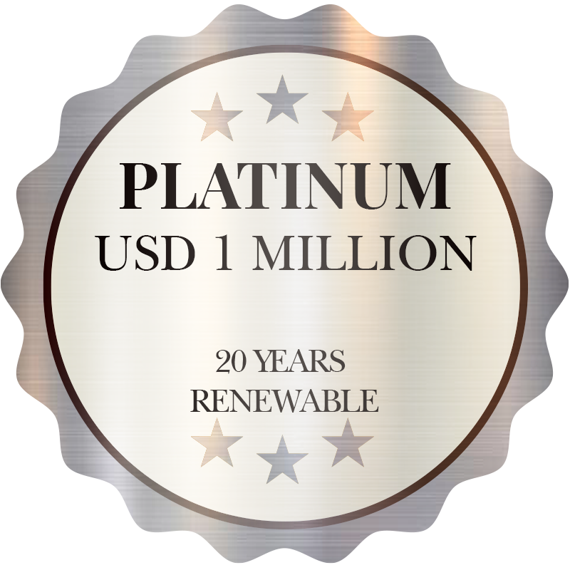 Graphic summarizing the MM2H Platinum Package