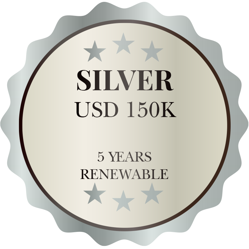 Graphic summarizing the MM2H Silver Package